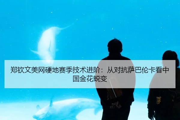 郑钦文美网硬地赛季技术进阶：从对抗萨巴伦卡看中国金花蜕变