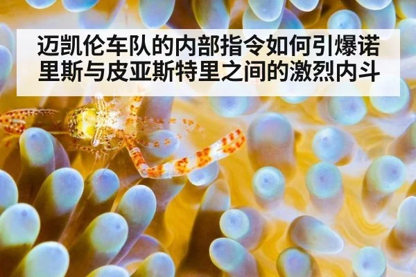 迈凯伦车队的内部指令如何引爆诺里斯与皮亚斯特里之间的激烈内斗